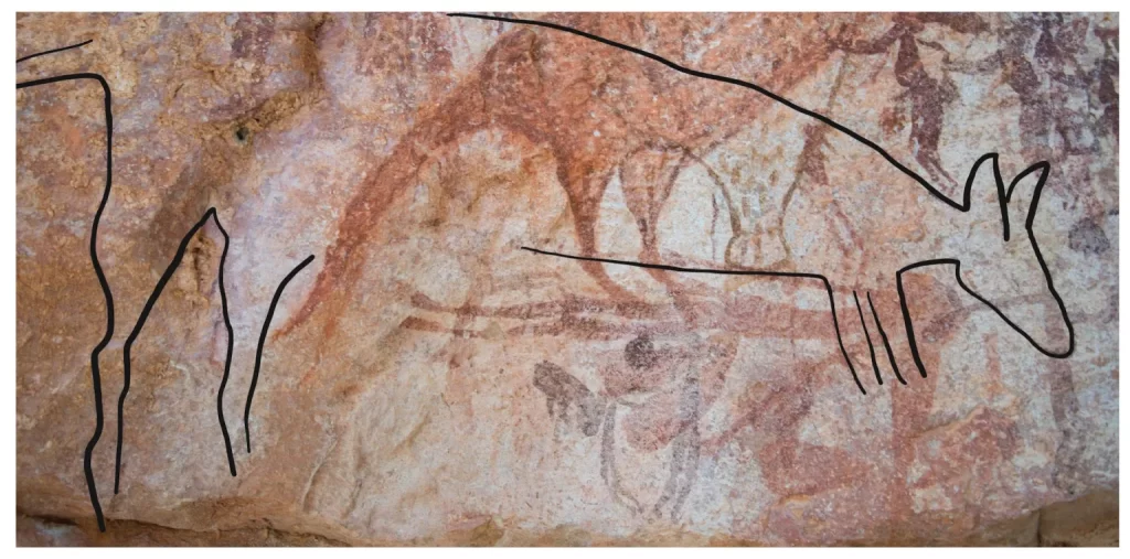 hallazgo arqueológico - nuevo estilo de arte rupestre aborigen con animales en Kimberley, Australia
