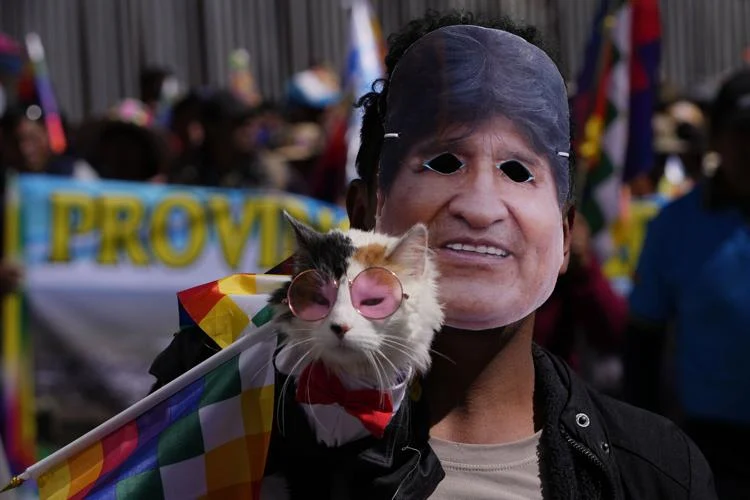 marcha la paz por evo morales - exigen se acepte candidatura presidencial